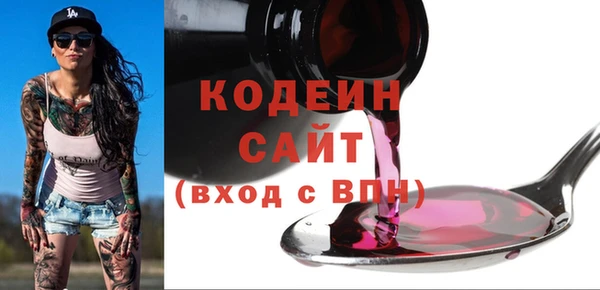 хмурый Абаза