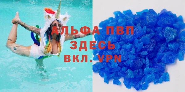 стаф Покачи