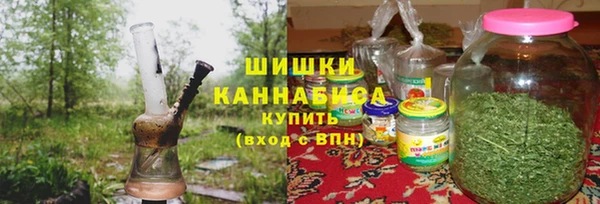 хмурый Абаза