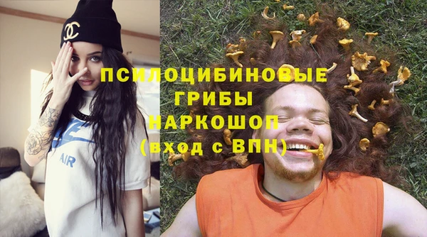 стаф Покачи